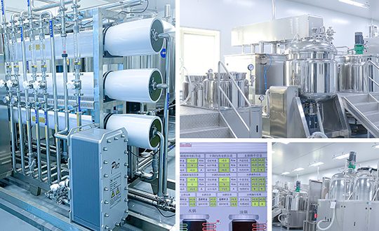 RO + EDI water purification system